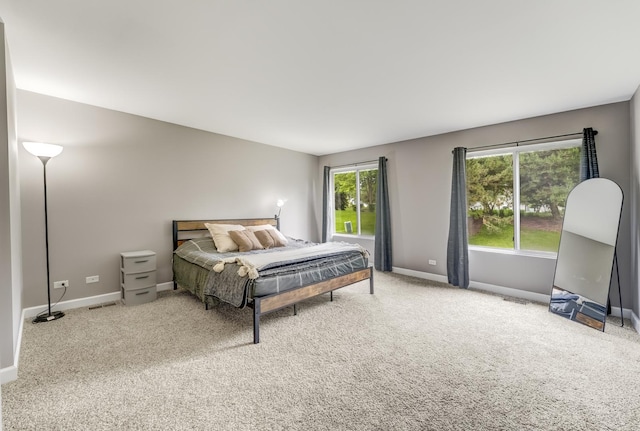 739 Glen Cove Ln, Pingree Grove, IL 60140 - carpeted bedroom with baseboards