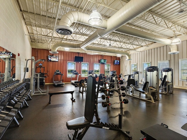 739 Glen Cove Ln, Pingree Grove, IL 60140 - workout area featuring healthy amount of natural light