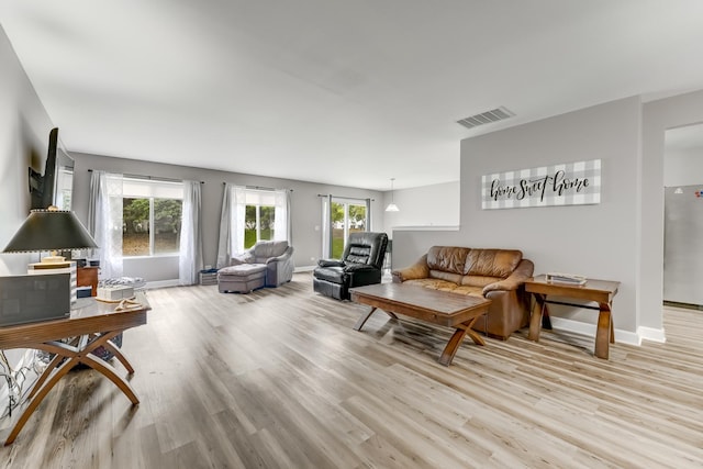 739 Glen Cove Ln, Pingree Grove, IL 60140 - living room with wood finished floors and baseboards