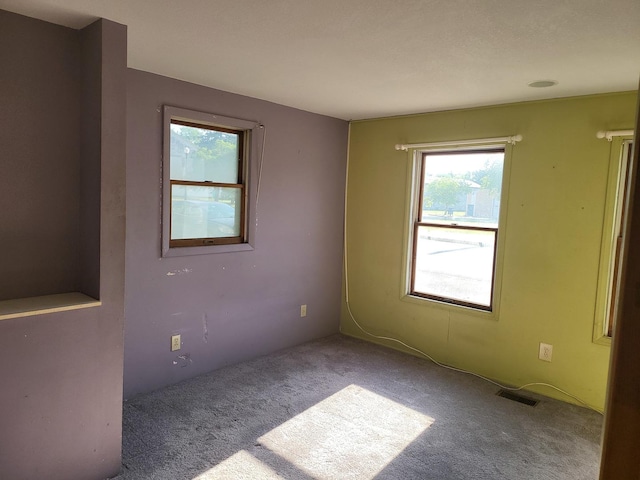 67 S Somonauk Rd, Cortland, IL 60112 - empty room featuring carpet floors