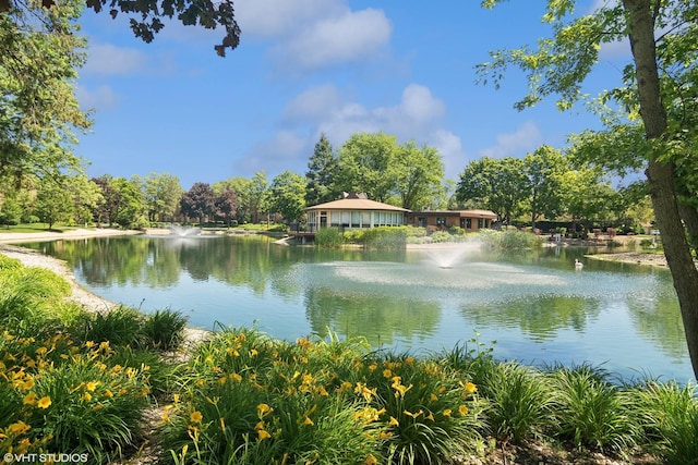 1127 S Old Wilke Rd Unit 201, Arlington Heights, IL 60005 - water view