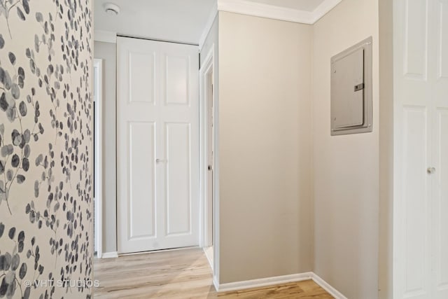 1127 S Old Wilke Rd Unit 201, Arlington Heights, IL 60005 - corridor featuring electric panel and light wood-style floors
