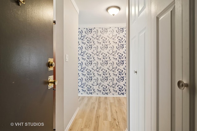 1127 S Old Wilke Rd Unit 201, Arlington Heights, IL 60005 - hallway featuring light wood-style flooring and baseboards