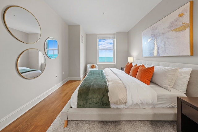 850 N Lake Shore Dr Unit 206, Chicago, IL 60611 - bedroom with light wood finished floors and baseboards