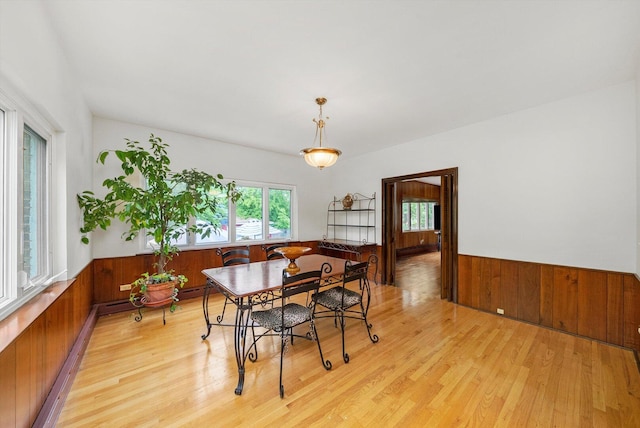 9209 S Hoyne Ave, Chicago, IL 60643 - dining area featuring light wood-type flooring, wood walls, and a wainscoted wall