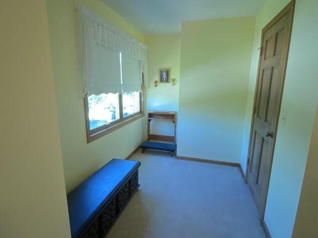 1182 Brigham Way, Geneva, IL 60134 - photo 26