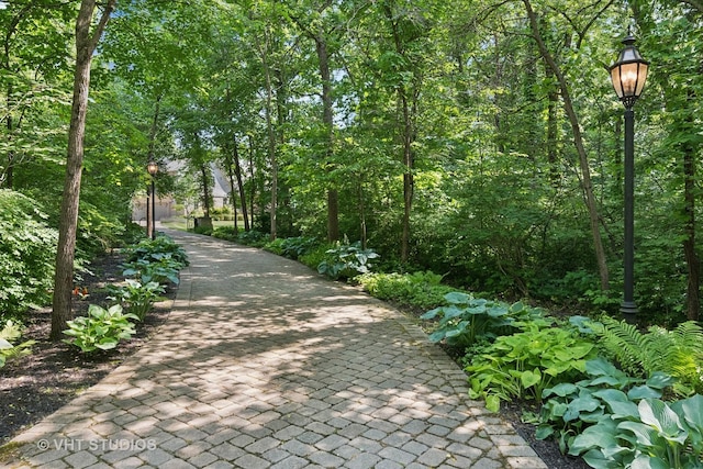 33W551 Hub Rd, Wayne, IL 60184 - photo 5