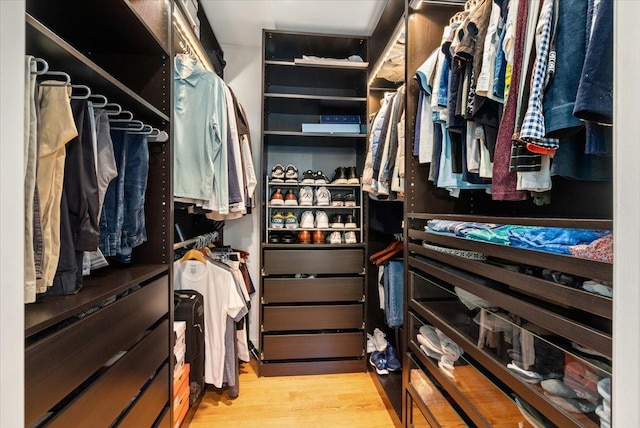 1738 E Jonquil Ter, Arlington Heights, IL 60004 - walk in closet featuring wood finished floors
