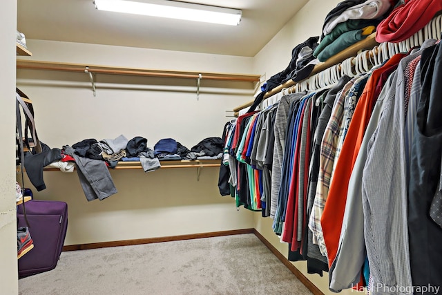 1506 Wilson Ct, Zion, IL 60099 - walk in closet featuring carpet flooring