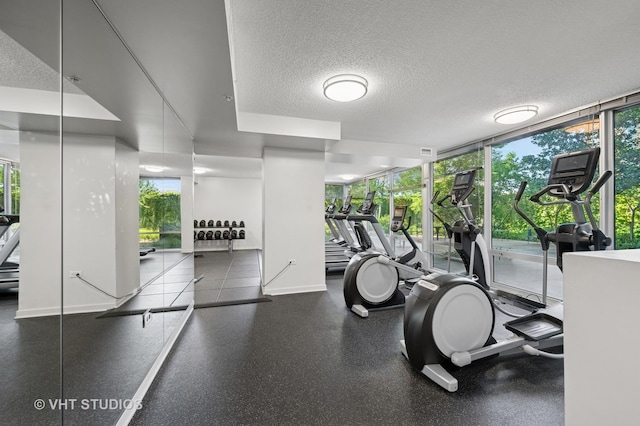 800 Elgin Rd Unit 1316, Evanston, IL 60201 - workout area featuring a textured ceiling and expansive windows