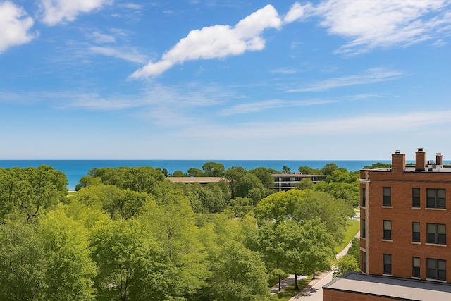 345 W Fullerton Pkwy Unit 1001, Chicago, IL 60614 - photo 2