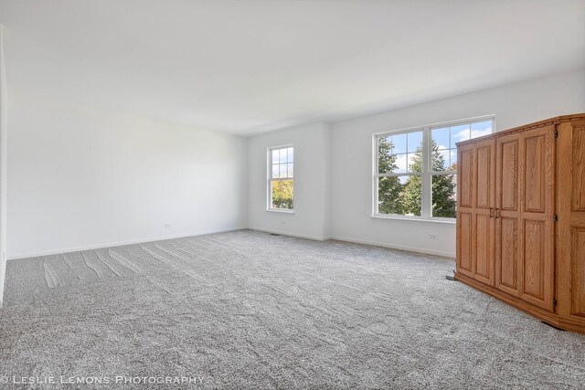 10592 Capitol Ln, Huntley, IL 60142 - photo 17