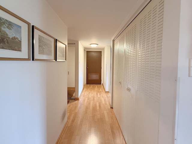 8025 Woodglen Ln Unit 307, Downers Grove, IL 60516 - hallway with light wood-type flooring and baseboards