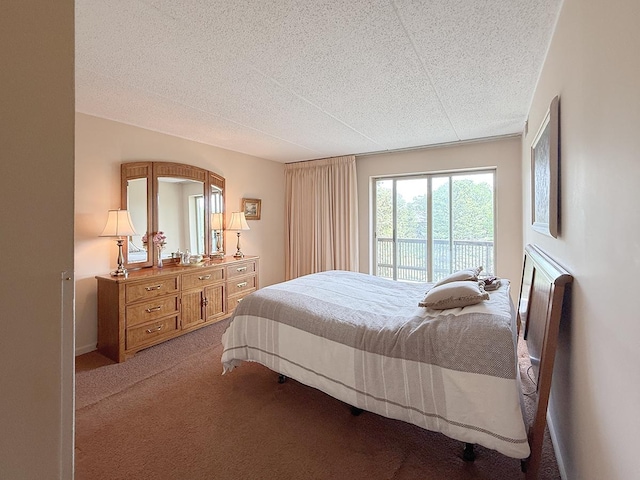 8025 Woodglen Ln Unit 307, Downers Grove, IL 60516 - bedroom with access to exterior, carpet floors, and a textured ceiling