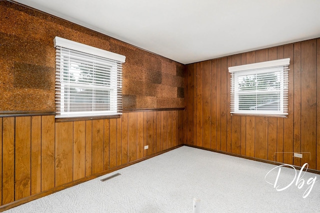 1323 Beverly Dr, Round Lake Beach, IL 60073 - empty room with wooden walls and carpet floors