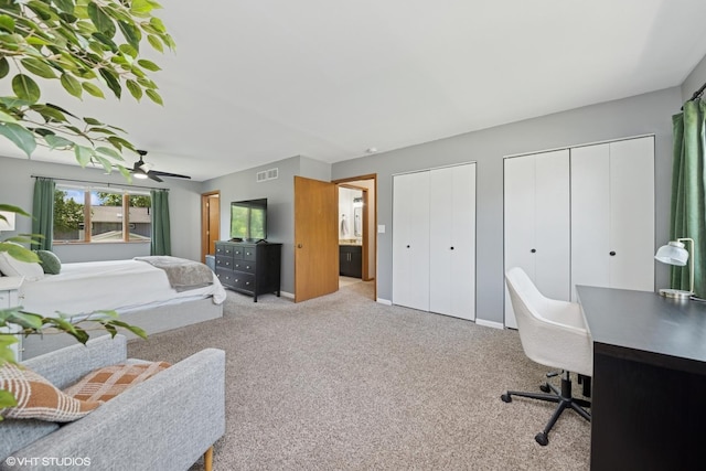 2225 W Weathersfield Way, Schaumburg, IL 60193 - bedroom with multiple closets, carpet flooring, and an office area