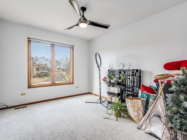 2326 Olde Mill Rd, Plainfield, IL 60586 - misc room with carpet and ceiling fan