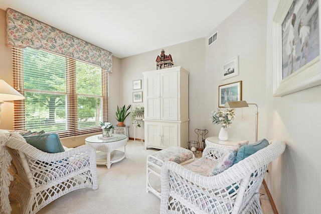901 Heathrow Ln, Naperville, IL 60540 - photo 16