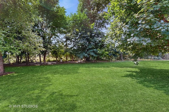 301 W Eagle Ct, Waukegan, IL 60087 - view of grassy yard