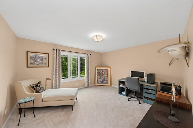 21705 W Hilandale Ct, Kildeer, IL 60047 - office space featuring carpet and baseboards