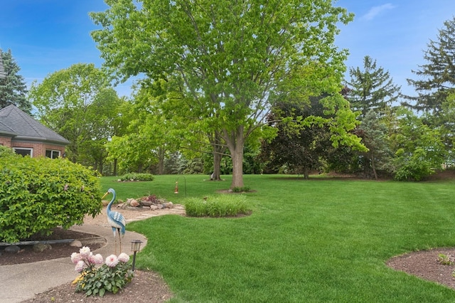 21705 W Hilandale Ct, Kildeer, IL 60047 - view of green lawn featuring view of scattered trees