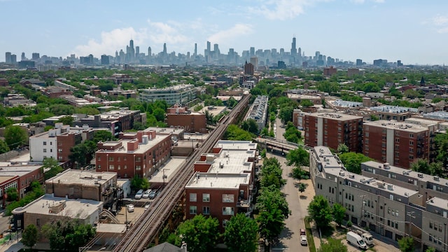 1825 N Winnebago Ave Unit 101, Chicago, IL 60647 - bird's eye view of city skyline