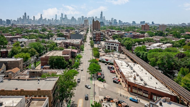 1825 N Winnebago Ave Unit 101, Chicago, IL 60647 - drone / aerial view of skyline