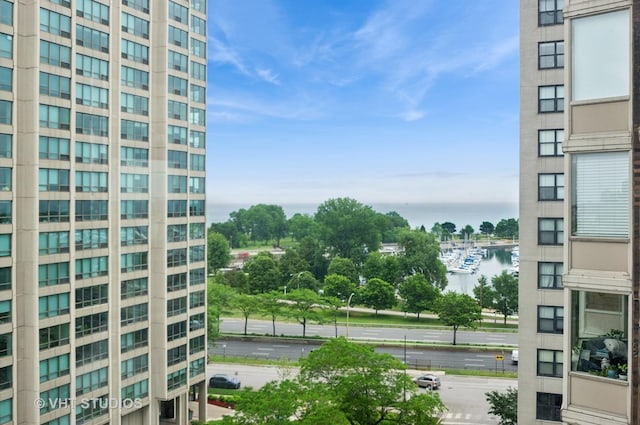 525 W Hawthorne Pl Unit 1004, Chicago, IL 60657 - water view with numerous boat docks