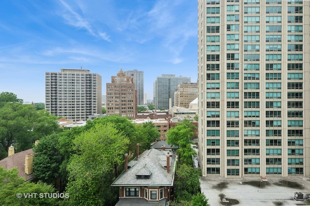 525 W Hawthorne Pl Unit 1004, Chicago, IL 60657 - city view