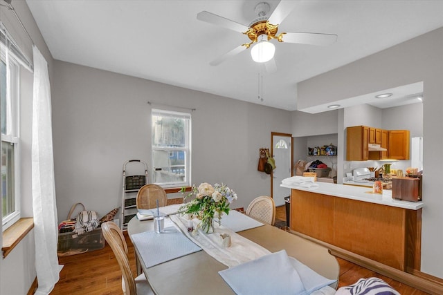 611 W White St, Champaign, IL 61820 - dining area featuring wood finished floors and a ceiling fan