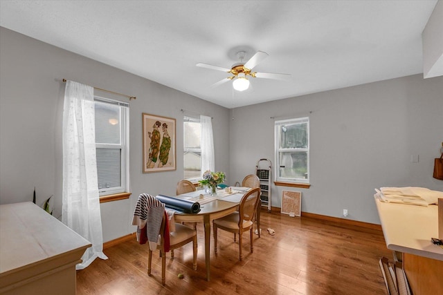 611 W White St, Champaign, IL 61820 - dining room featuring plenty of natural light, ceiling fan, and wood finished floors