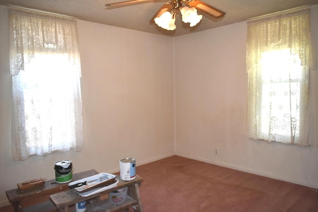 207 State St, Benson, IL 61516 - carpeted home office with a ceiling fan
