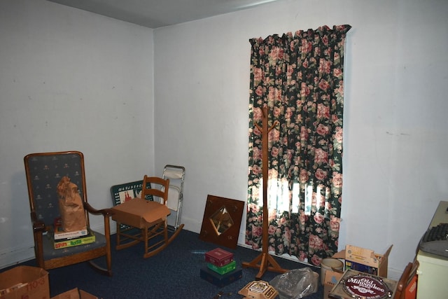 207 State St, Benson, IL 61516 - view of living area