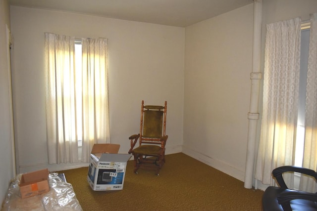 207 State St, Benson, IL 61516 - sitting room with carpet