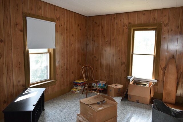 207 State St, Benson, IL 61516 - miscellaneous room with plenty of natural light and wood walls
