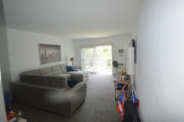 1455 N Winslowe Dr Unit 302, Palatine, IL 60074 - living area with carpet flooring
