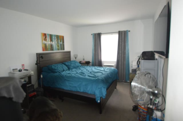 1455 N Winslowe Dr Unit 302, Palatine, IL 60074 - bedroom featuring carpet floors
