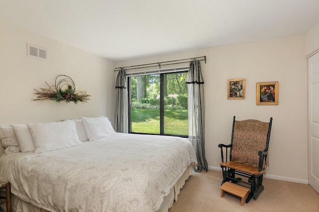 434C Woodview Rd Unit C, Lake Barrington, IL 60010 - bedroom with light carpet and baseboards