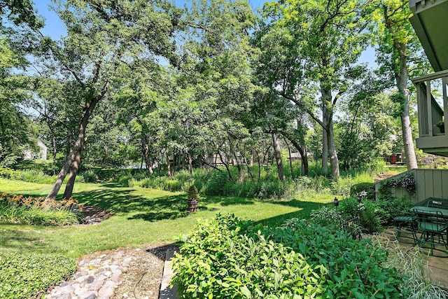 434C Woodview Rd Unit C, Lake Barrington, IL 60010 - view of green lawn featuring view of scattered trees