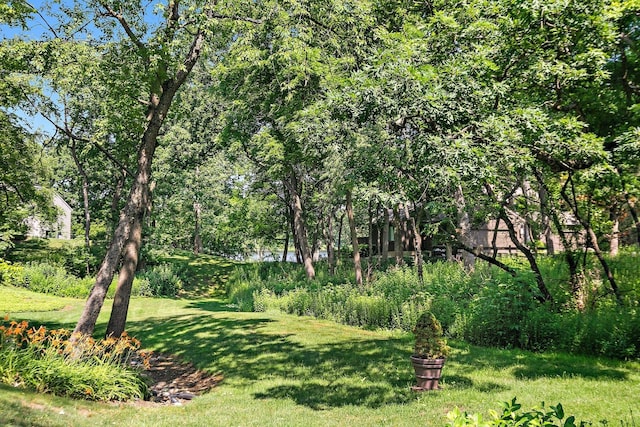 434C Woodview Rd Unit C, Lake Barrington, IL 60010 - view of grassy yard