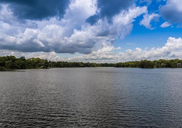 434C Woodview Rd Unit C, Lake Barrington, IL 60010 - water view