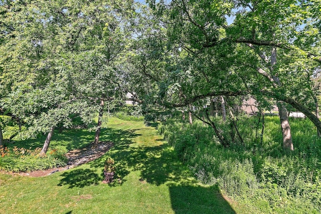 434C Woodview Rd Unit C, Lake Barrington, IL 60010 - view of grassy yard