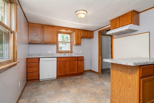 112 NW Adams St N, Hopedale, IL 61747 - kitchen featuring dishwasher, exhaust hood, and brown cabinetry