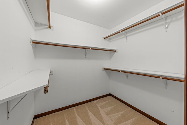 609 Spruce Ct, Oswego, IL 60543 - spacious closet with light carpet