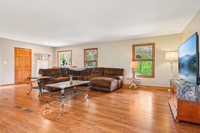 6180 Elm St, Union, IL 60180 - living room with plenty of natural light and light wood finished floors