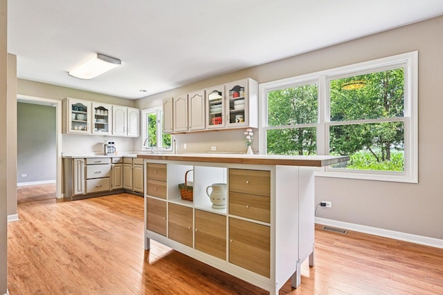 6180 Elm St, Union, IL 60180 - kitchen featuring light wood finished floors, light countertops, glass insert cabinets, and a warming drawer