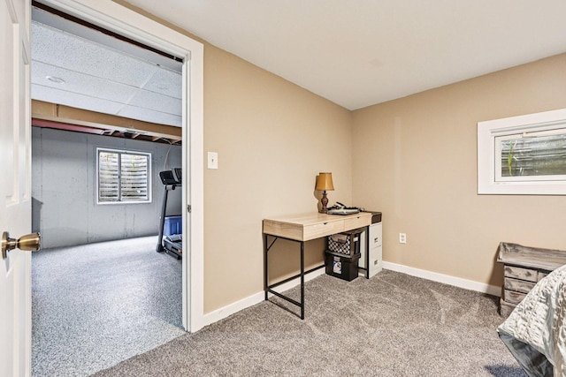 6180 Elm St, Union, IL 60180 - bedroom with carpet flooring and baseboards