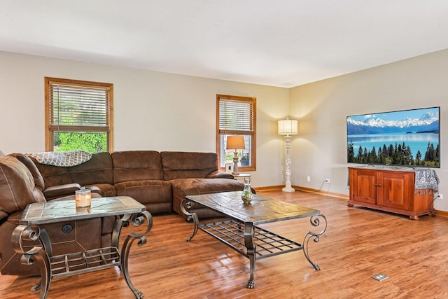 6180 Elm St, Union, IL 60180 - living room featuring plenty of natural light and light wood-style floors