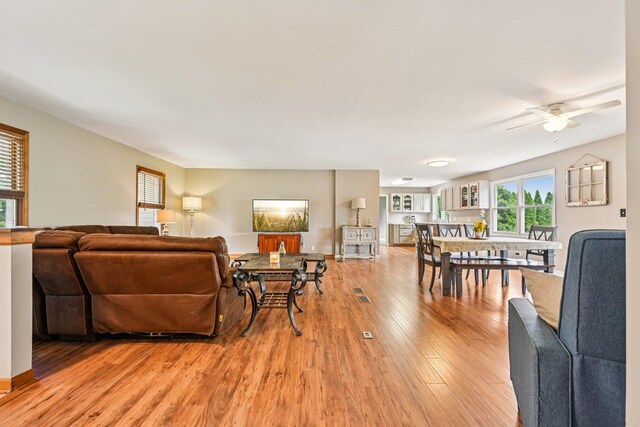 6180 Elm St, Union, IL 60180 - living room featuring light wood-style floors and ceiling fan