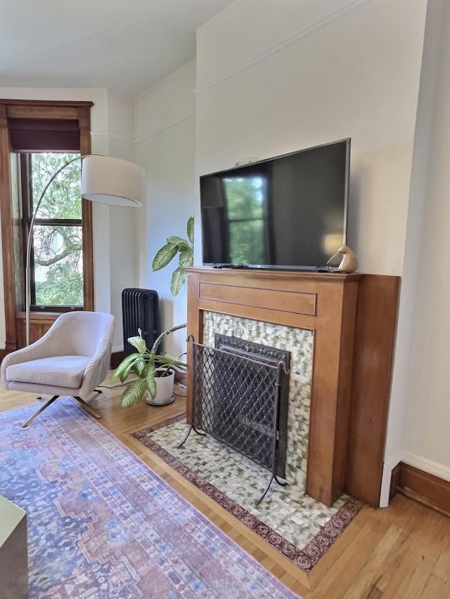 2680 N Burling St Unit 3S, Chicago, IL 60614 - living room featuring wood finished floors, radiator heating unit, and a tiled fireplace